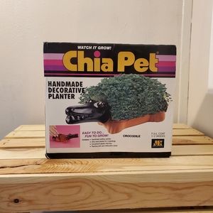 Chia Pet (Crocodile)!